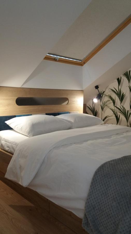 Apartament Limanowskiego 克拉科夫 外观 照片