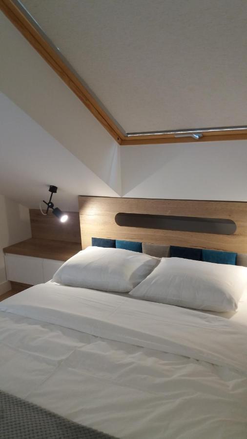 Apartament Limanowskiego 克拉科夫 外观 照片